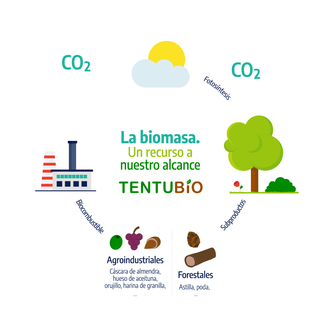 tentubio biomasa