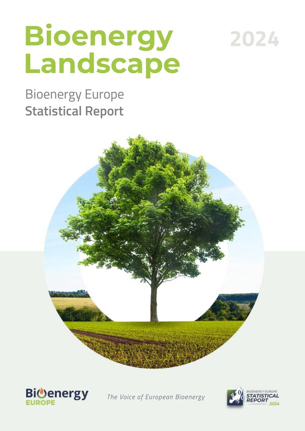 landscape report de bioenergy europe 2024