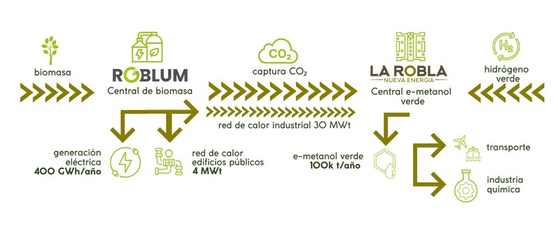 Esauema roblum y reolum biomasa