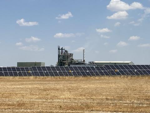 neoelectra fotovoltaica y biomasa