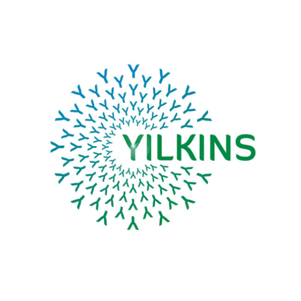 Logo Yilkins