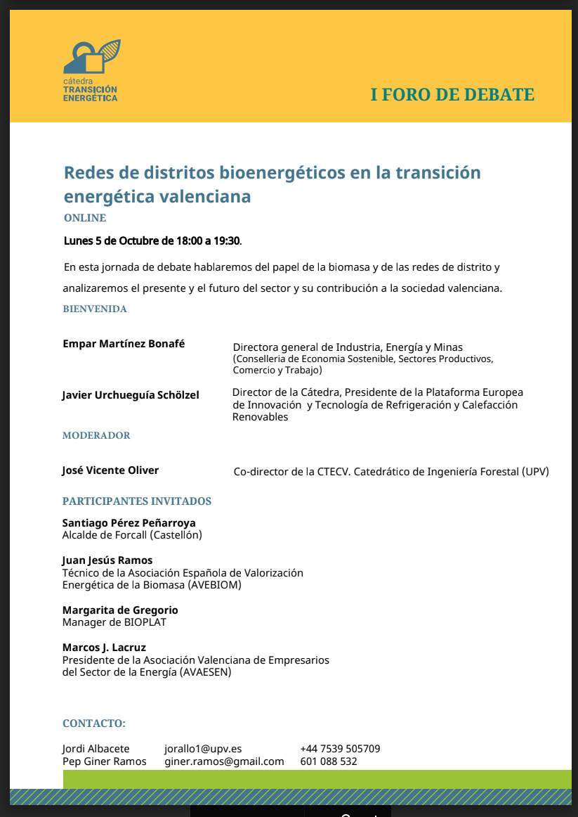 Programa debate la biomasa y redes de calor en transicion energetica Valencia