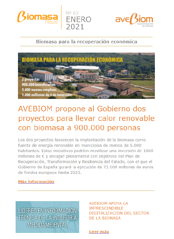 Boletín enero 2021