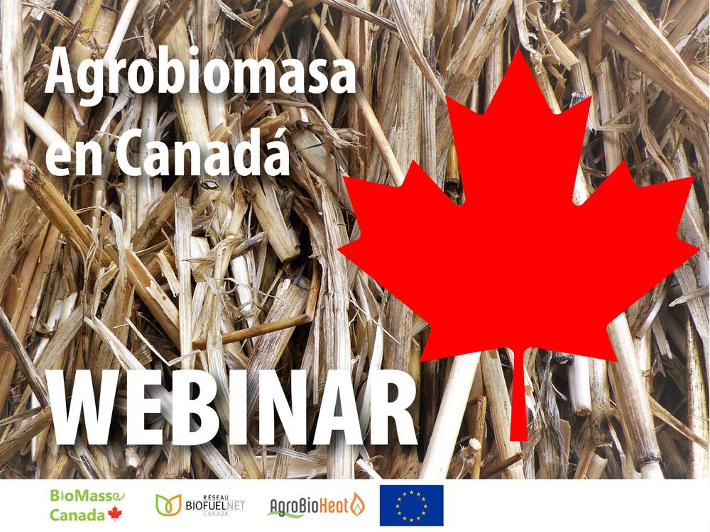 webinar canada agrobiomasa agrobioheat