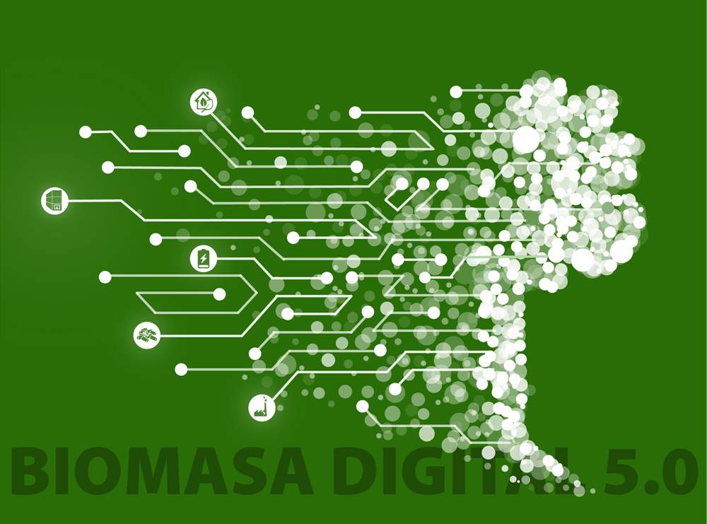 digitalizacion biomasa