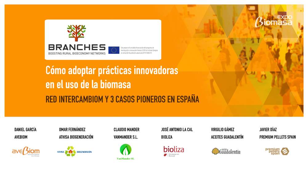 Proyectos inspiradores para promover el uso sostenible de la biomasa EXPOBIOMAS