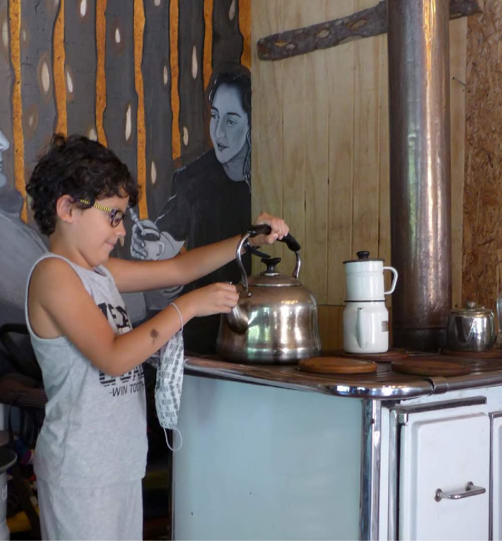 Informe sobre lena y pellet en Aysen chile por INFOR