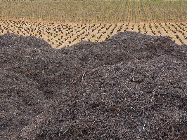 Plataforma Nacional de la Biomasa Agrícola, Ganadera y de sus Industrias Afines