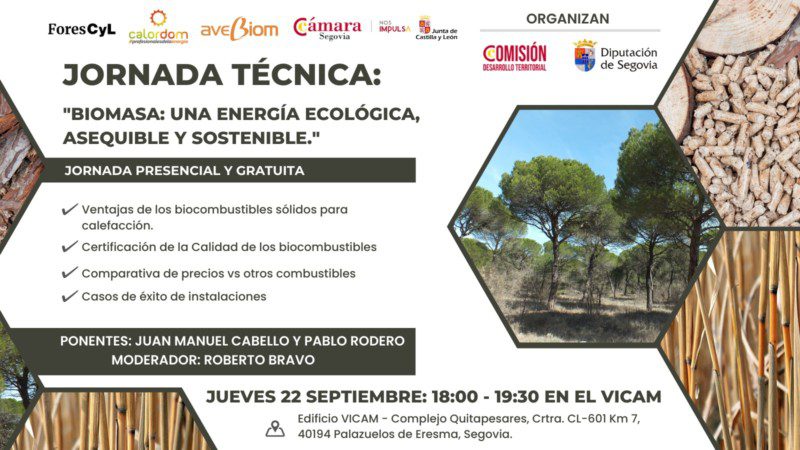 jornada tecnica AVEBIOM en segovia