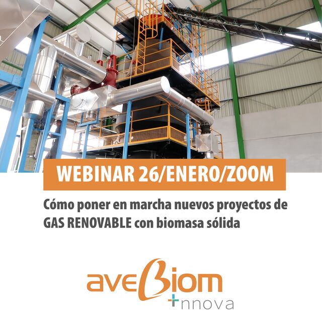 webinar 26 enero gasificacion biomasa solida avebiom