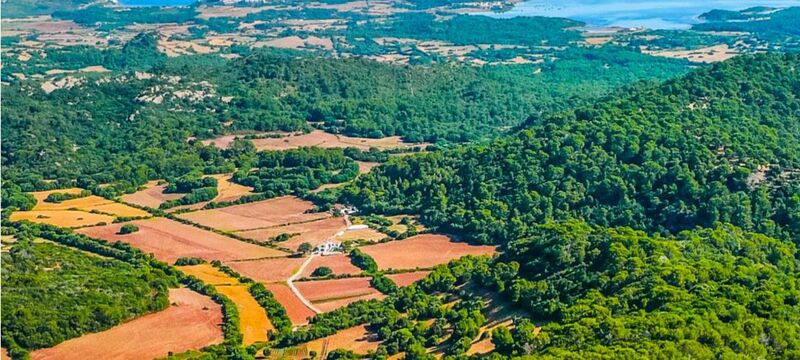 Menorca biomasa descabornizacion 2023