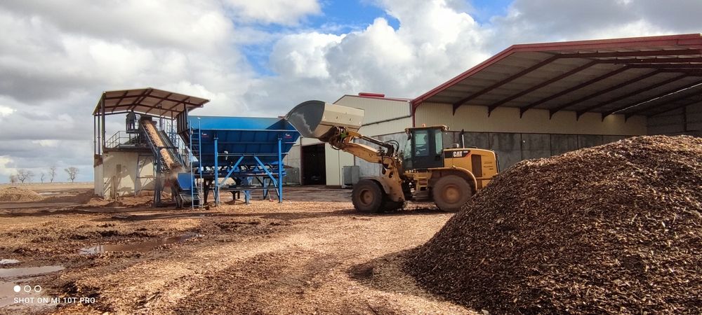visita tecnica a centro logistico biomasa Tiedra avebiom