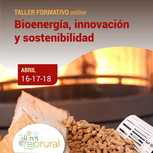 talleres para bioeconomia online BIORURAL abril 2024 bioenergia