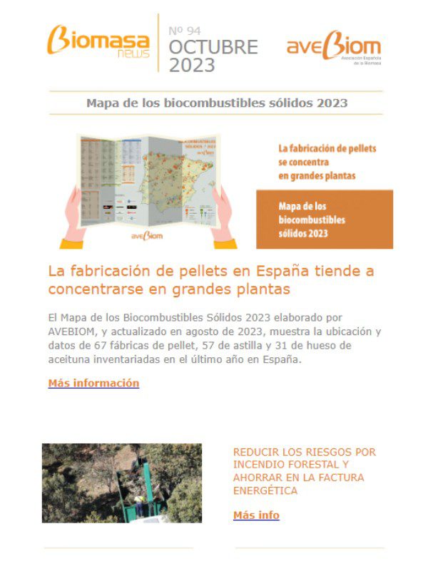 Biomasa news 94