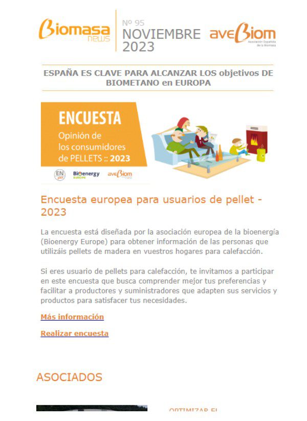 Biomasa news 95