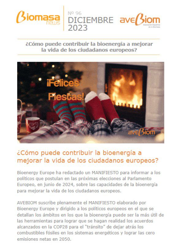 Biomasa news 96